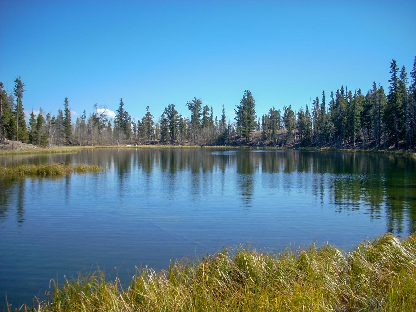 Nearby Hiking Spots to Explore on Your Next Glamping Trip - Royal Gorge ...